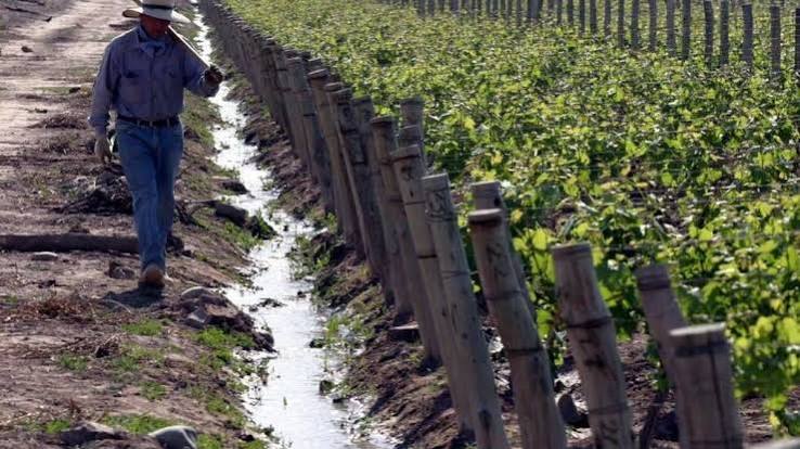 Claves para la economía de Mendoza: la integración y los encadenamientos productivos dominaron el Foro Industrial